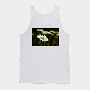 White camomile in the dark Tank Top